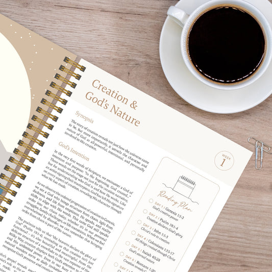 The Bible in A Year: A 52-Week Journey Through God's Word